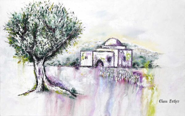 Kever Rochel Pastel - Image 2