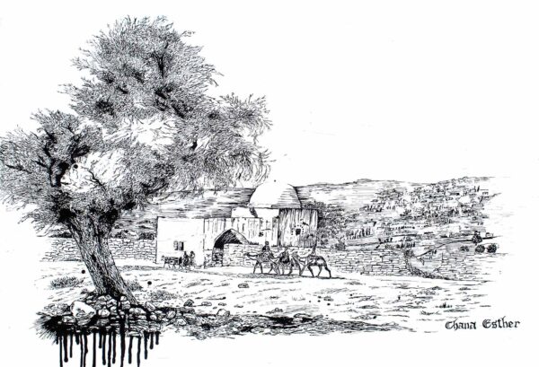Kever Rochel Monochrome - Image 2